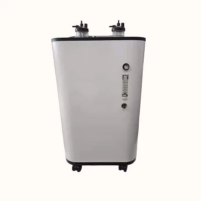 CE ISO Approved Hot Selling 10l Oxygen Concentrator with Dual Flow Manufacturers