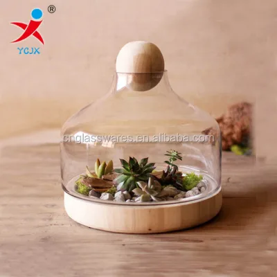 Glass Terrariums/glass Vase with Wood Base
