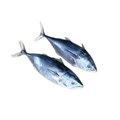 500g Big Fresh Tuna Frozen Fish Factory