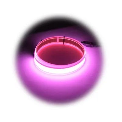 Custom EL tape Waterproof decorative LED el light strip cuttable neon tape Christmas Halloween Home Office decoration