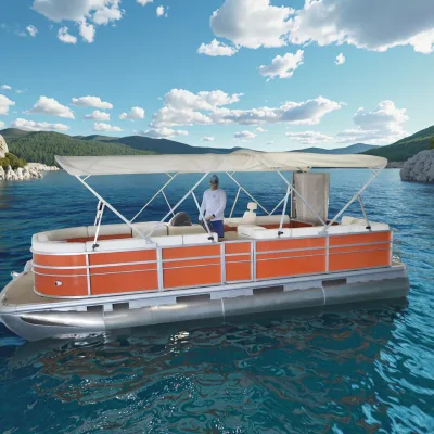 High Quality Single Layer 9m Pontoon Boat for Recreational Transportation Fishing Entertainment Use Choice Steel Aluminium Hull