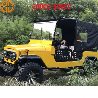 China Mini Jeep Atv Side by Side Utv