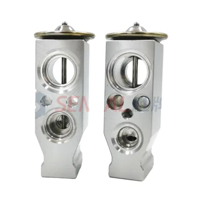 New 12V Aluminium Front Air Conditioning Expansion Valve for Fiat for Iveco JAC-Transit V348 Foton-Designed for AC Systems