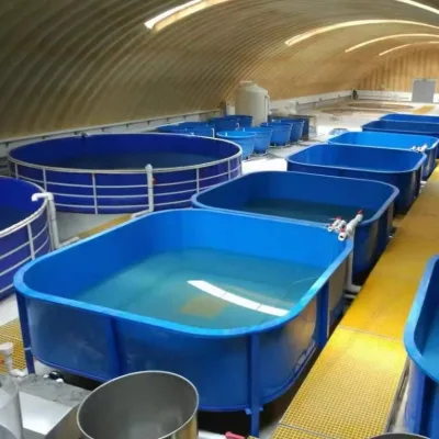 Fish Pond Fish tank Fiberglass Tank for Raceway