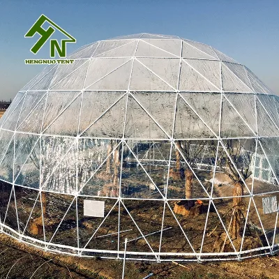 40M Clear Roof Igloo Green House Tents Geodesic Dome Trade Show Tent Wedding Party Tent Aluminum Structure