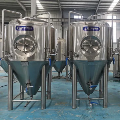 1000 Litres Conical & Stainless Beer Fermenting Tun Core Fermenting Equipment for Wine & Beer Processing