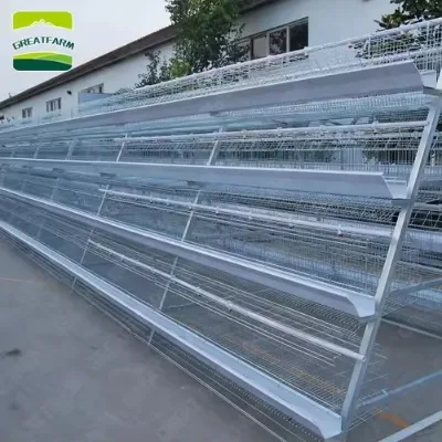 Poultyr Farming Equipment Animal Cages Cages for Chickens With Layer of Eggs