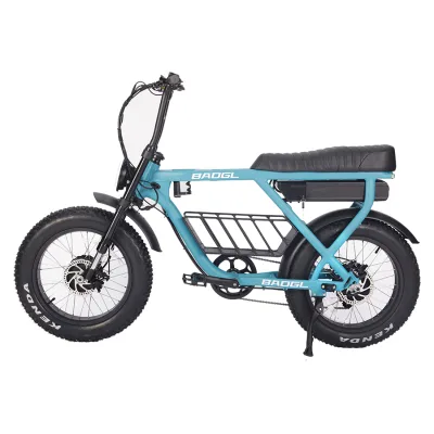 Retro 20 Inch 4.0 Fat Tire Fatbike 52V Large Battery Dual Motor 1000W Powerful Long Distance Offroad Electric Bike for Adults