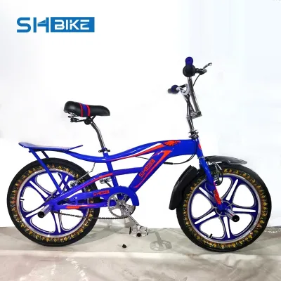 16 20 24 26 Inch Freestyle Bmx Bike for Middle East Market with Magnesium Alloy Wheels