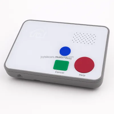 Remote Wellness Telecare Solutions for Older Adults: Smart Care Products with Two-Way Audio Communication