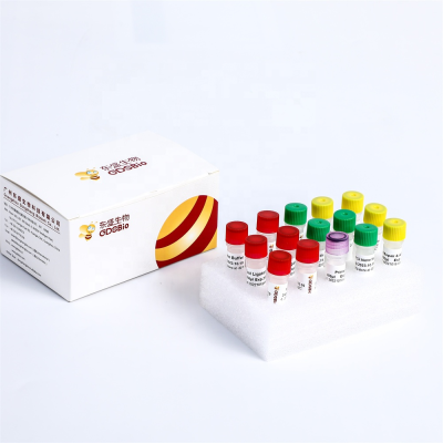 Small RNA Library Prep Kit for Illumina | miRNA & piRNA Sequencing