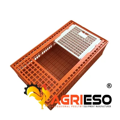 Broiler Chicken Transport Crate Plastic Poultry Turnover Box for Layer Breeder Chick Handling Farm Project Equipment
