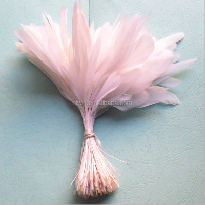 Stripped Cock Feather
