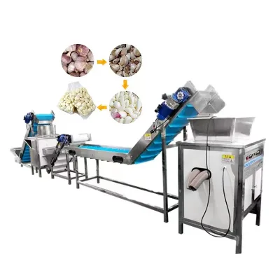 TCA 1000kg/h Sus304 Dried Garlic Peeling Garlic Clove Machine Production Line