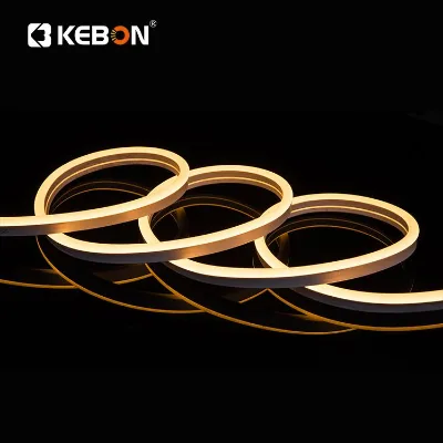 220V Single Color Flexible Waterproof LED Neon Light Strips for TV Backlight/Bedroom Starry Ceiling/Commercial Sign