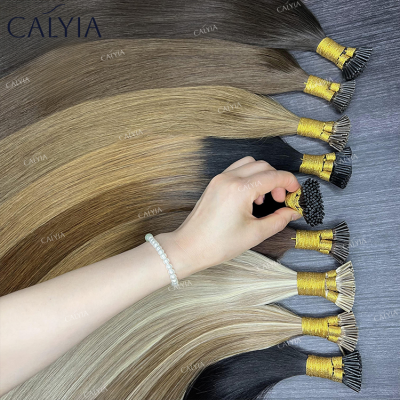 Wholesale Price Healthy Smooth New Design Free Logo Packaging Design Hair Extensions I Tip Russian Hair Extensions Human Hair