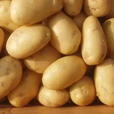 High-Profit Fresh High Quality Newest Crop Potato Varieties Low-Cost Per Ton with Fast Shipping From Shandong Province