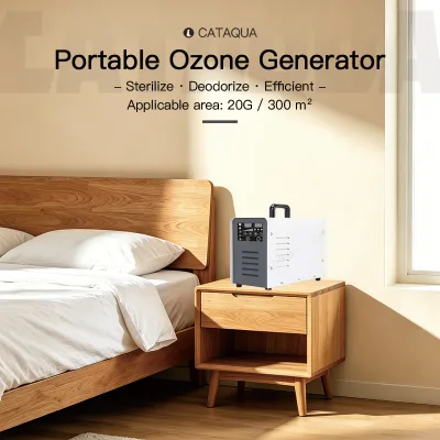 High Output High Concentration Fast Sterilization Energy Saving Lightweight SPA Ozone Generator for Aquaculture Fish Tank