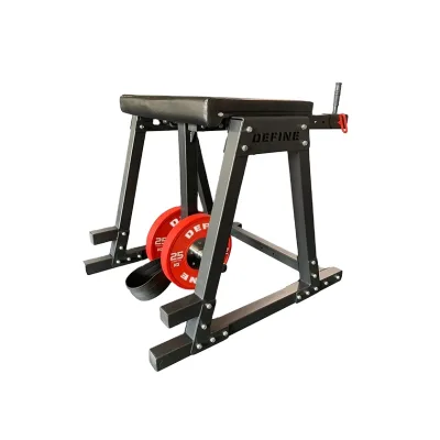 DEFINE Commercial Fitness Gym Equipment Reverse Hyper Machine Reverse Hyperextension