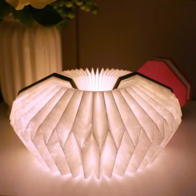 Colorful Rechargeable Reading Light Folding Gift LED Tyvek Book Light