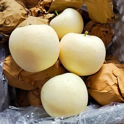 Factory Direct Golden Delicious Apple Fresh Fruit Yellow Apple Wholesale Supply For Importers