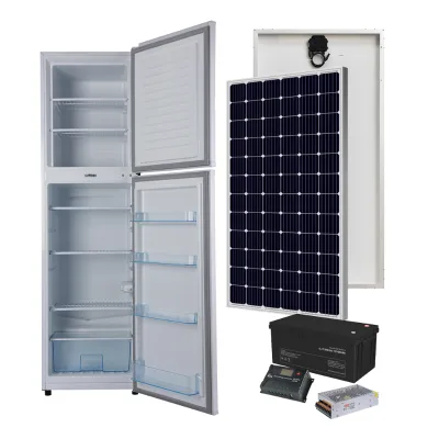 Portable DC Compressor Refrigerator 12/24V Two Door Compact Dual Use Fridge Freezing Solar Power Refrigerator Home Appliance
