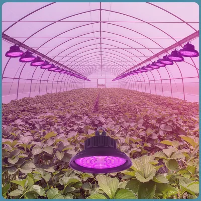 Commercial Hydroponic 80W UFO Full Spectrum LED Grow Light with IP65 Ra90 5-Year Warranty for Indoor Plants