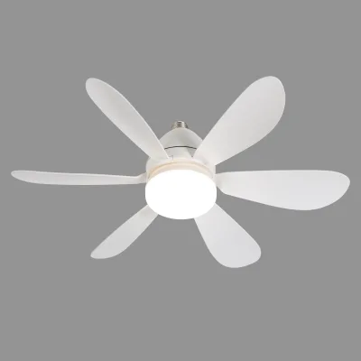 Ceiling Fans with Lights and Remote,Settings Modern Invisible
