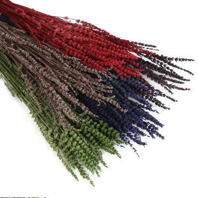 2026 Hot Sale Preserved Dried Flower Dry Lavender Flowers  Source Factory Directly Supply Home Decoration Long Stem