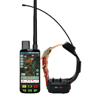 Uncharted Territories: Your Hound's Guide to GPS Exploration