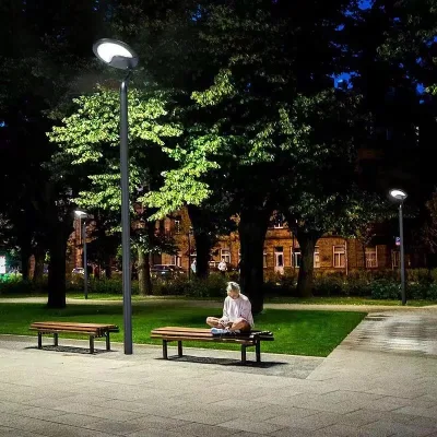 China Outdoor Solar Lighting OEM Factory IP65 Garden Lamp Villa Landscape Led Solar Lawn Light
