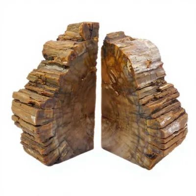 Natural Petrified Wood and Agate Crystal Bookends & Rests Book Ends Home Decor for Studies and Housewarming Parties