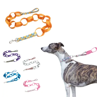 New Design Wholesale Recycled Eco-friendly Nylon Handsfree Pet Dog Leash Muti-handle Breathable Mesh Soft Lead Rope