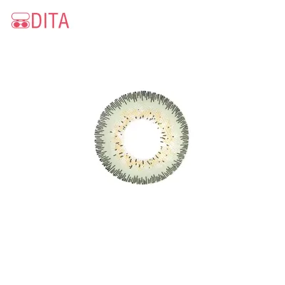 Professional Supplier Contact Lenses 14.5 Lenses Eye Contact Fresh Tone Contact Lenses for Eyes