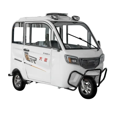 DAYUNE Electric Tricycle for Adult Electric Tricycle with Windshield Electric Tricycle with All Inclusive 90mm Thick Cushion