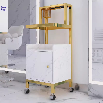 Mobile High-quality Hair Salon Styling Car Beauty Salon Tool Car Hair Salon Trolley