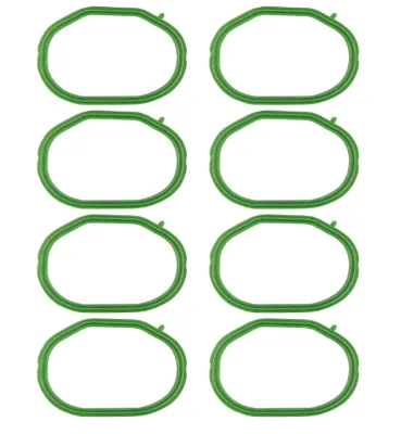 Automobile Parts Intake Manifold Position Gaskets OEM 255738 for Maserati