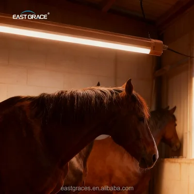 IP66 Waterproof Triproof LED Linear Light 150CM SANAN Poultry Farm Led Cattle Stall Lights