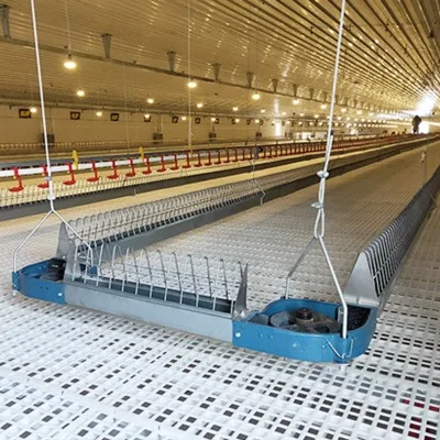 Heavy Duty Galvanized Steel Chain Feeder for Poultry | Anti-Corrosion Chicken Feeding System Long Lifespan