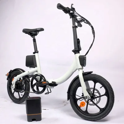 250W/500W/750W Netherlands Electric Bicycles Wholesale Electric Bike for Lady Teenagers
