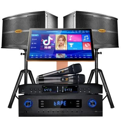 Portable Karaoke System Yolnada Song KTV Sing Speakers Sound Box Home Powerful Karaoke Players 4 Personas for Touch Screen