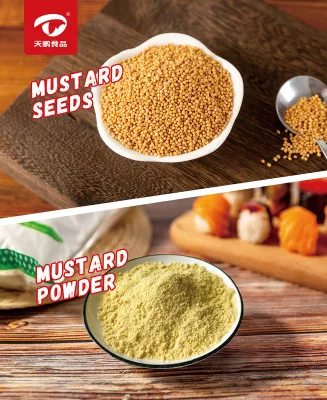 High Quality Cheap Mustard Flour Wholesale Mustard Powder Yellow Mustard