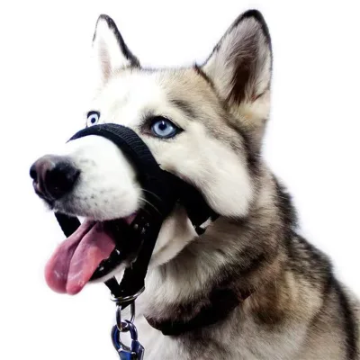 Adjustable Nylon Dog Muzzle for Large Dogs Durable Outdoor Walking Chewing Training Anti-Bite Feature Pet Training Behavior