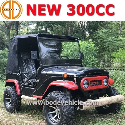 Led Kubota China Mini Jeep Utv