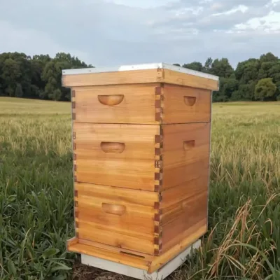 Durable Plywood Langstroth Beehive for Outdoor Beekeeping Operations