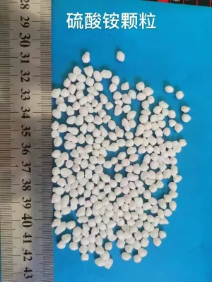 Uniform Granular Ammonium Sulfate Fertilizer 21% Nitrogen 24% Sulfur for Brazil Sugarcane Plantation