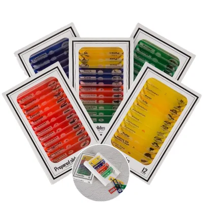 Microscope Slides for Kids,12pcs Plastic Insects Plants Flowers Sample Specimens for Students Children Science Programs