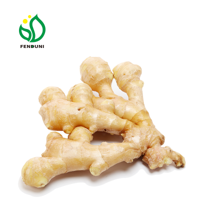 Dried Red Ginger (50g~200g Up)