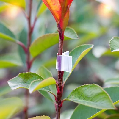 Seedling Grafting Clips, New Materials, Round-mouthed Tomatoes, Melons, Fruits and Vegetables, Tied Vine Clamps