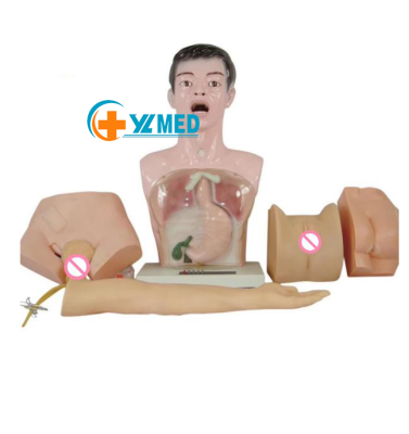 Medical Science Nurse Basic Practice Teaching Model Basic Combined Nursing Practice Model Medical Simulation Exercise Model
